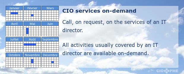 CIO services on demand. Call, on request, on the services of an IT manager. All activities usually covered by an IT manager are available by request.