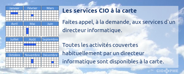 Les services CIO à la carte : faites appel, à la demande, aux services d'un directeur informatique. Toutes les activités couvertes habituellement par un directeur informatique sont disponibles à la carte.