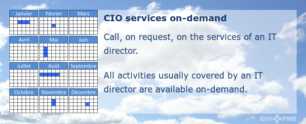 Les services CIO à la carte : faites appel, à la demande, aux services d'un directeur informatique. Toutes les activités couvertes habituellement par un directeur informatique sont disponibles à la carte.